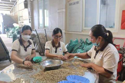 Liên kết sản xuất, tăng thế mạnh cho sản phẩm địa phương