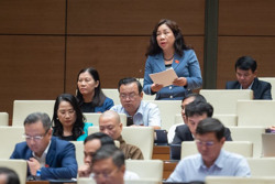 Mở rộng đối tượng tham gia BHXH theo tinh thần Nghị quyết 28