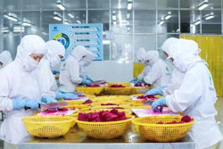 Xuất khẩu rau quả bứt phá