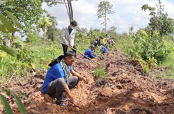 Toàn tỉnh có 167 Đội hình Thanh niên tình nguyện bảo vệ môi trường