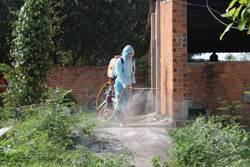 Triển khai quyết liệt các giải pháp phòng, chống bệnh dịch tả lợn châu Phi