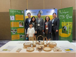 Gạo ST25 lại đoạt giải gạo ngon nhất thế giới năm 2023