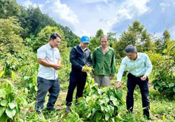 Những mô hình xen canh hiệu quả ở Ea Tir