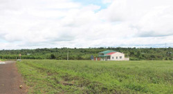 Huyện Ea Kar: Điều chỉnh dự toán thu ngân sách địa phương năm 2023 xuống còn 117,4 tỷ đồng