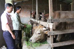 Bổ sung tối đa 15.500 tỷ đồng để cho vay hỗ trợ tạo việc làm