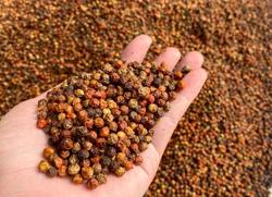 Nông sản, thực phẩm Việt Nam chiếm tỷ lệ thấp trong cảnh báo của EU