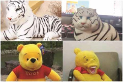 Rủi ro mua hàng trên mạng