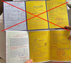 Giả mạo trung tâm đăng kiểm để lừa đảo bán bảo hiểm