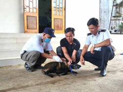 Chủ quan với bệnh dại: Hậu quả khôn lường