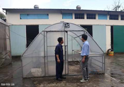 Phát triển và ứng dụng công nghệ sinh học trong tình hình mới