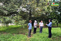 Hơn một nửa cơ sở du lịch canh nông Đắk Nông chưa đăng ký giấy phép kinh doanh