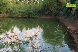 Đắk Nông: Tắm hồ, một nam thanh niên đuối nước