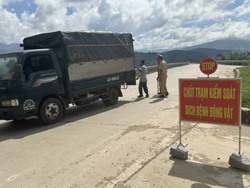 Huyện Krông Bông: Thành lập 2 chốt kiểm soát để phòng, chống dịch tả lợn châu Phi