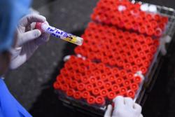 Bao giờ hết cảnh thiếu thuốc?