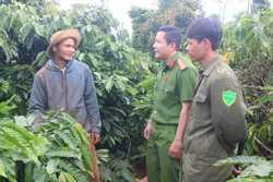 Xã Cư Dliê M’nông (huyện Cư M’gar): Nhiều giải pháp bảo đảm an ninh trật tự mùa thu hoạch cà phê