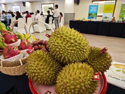 Sầu riêng tăng giá mạnh