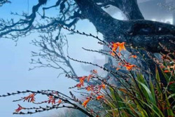 Thời tiết dịp lễ Noel diễn ra thế nào?