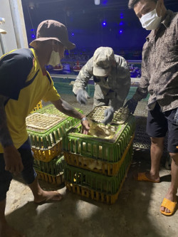 Chủ động phòng bệnh cúm A/H5N1