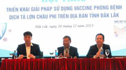 Tìm giải pháp sử dụng hiệu quả vắc-xin phòng bệnh dịch tả lợn châu Phi