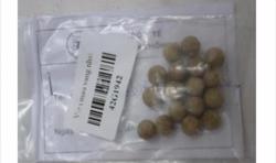 Đi cấp cứu sau khi uống thuốc "3 đời trị tiểu đường"