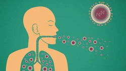 Dịch bệnh truyền nhiễm vẫn diễn biến khó lường