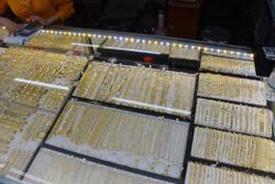 Giá vàng hôm nay 4-12: Vàng lập đỉnh mới vượt 2.100 USD/ounce