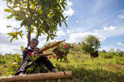 "Báu vật" dưới chân đồi Cư Wăt Mla