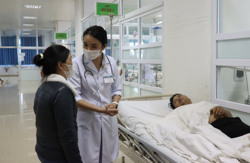 Gia tăng bệnh nhân nhập viện do rắn cắn