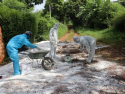 Huyện Krông Bông: Tiêu huỷ 434 con lợn mắc bệnh dịch tả lợn châu Phi