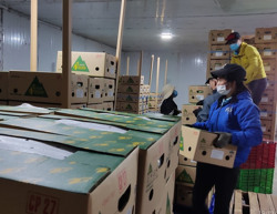 Thêm áp lực cạnh tranh cho nông sản Việt sang Trung Quốc