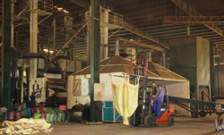 Điều chỉnh cục bộ Quy hoạch chi tiết Khu công nghiệp Hòa Phú