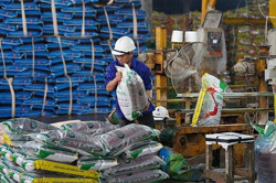 Giá phân bón có hạ nhiệt?