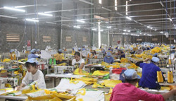 Khẩn trương, nghiêm túc thực hiện những nhiệm vụ trọng tâm