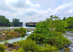 Du Xuân Tây Nguyên