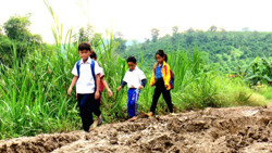 Trả lời kiến nghị của cử tri trước Kỳ họp thứ tư, Quốc hội khóa XV (tiếp theo 2)