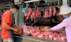 Giá lợn hơi tiếp tục giảm: Nguy cơ lỗ nặng hoặc 'treo' chuồng