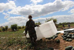 Huyện Ea Súp: Đưa 100 lao động đi làm việc tại Hàn Quốc theo chương trình hợp tác