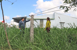 Sớm thi công một số công trình hạ tầng lưới điện tại xã Krông Búk