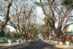 Lễ hội cà phê Buôn Ma Thuột lần thứ 8 năm 2023: Nhiều điểm thưởng thức cà phê miễn phí cho người dân và du khách