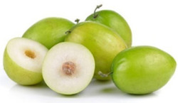 Táo ta - vị thuốc chữa mất ngủ