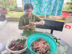 Về xứ Tiên thưởng thức nem chua lá liễu