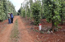 Thống nhất 78 vị trí bãi thải, mỏ vật liệu, trạm trộn bê tông phục vụ Dự án thành phần 3 cao tốc Khánh Hòa – Buôn Ma Thuột