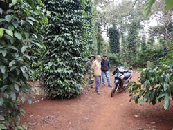 Các địa phương phải hoàn thành việc xác định vị trí, quy mô đầu tư trạm dừng nghỉ cho các dự án đường bộ cao tốc trong tháng 3/2023