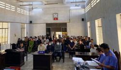 Nguyên 6 cán bộ, lãnh đạo Vinacafe Nam Tây Nguyên lãnh án