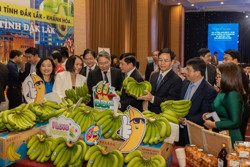 Hợp tác giữa Đắk Lắk và Khánh Hòa: Nối liền rừng – biển vì sự phát triển