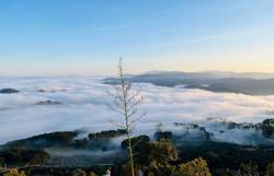 Chinh phục “thiên đường mây” Đà Lạt