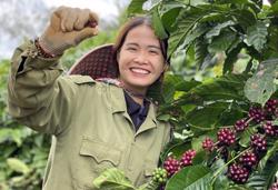 Nữ Tiktoker bỏ phố về quê để bán 'câu chuyện của nông sản'