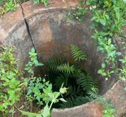 Ẩn họa từ những chiếc giếng đào