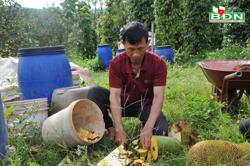 Nông dân xoay xở khi giá vật tư tăng