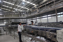 Thực hiện đồng bộ các giải pháp phát triển kinh tế - xã hội